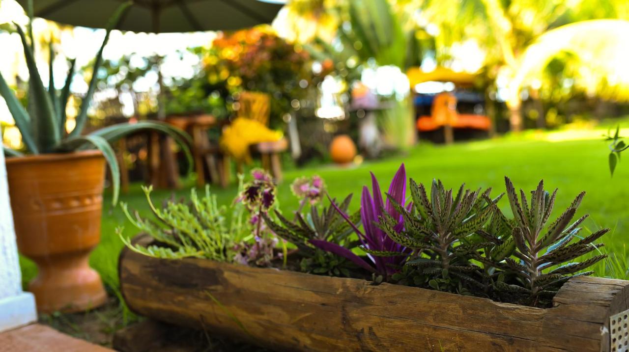 Marceneiro Inn São Miguel dos Milagres